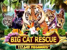 Big Cat Rescue Megaways gokkast